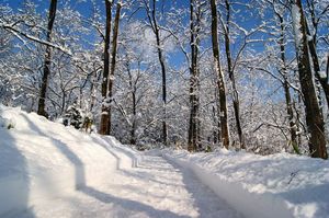 2012.2.24雪景色5.jpg