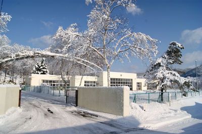 2012.2.24雪景色１.jpg