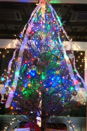 2012.12.3クリスマスツリー.jpg