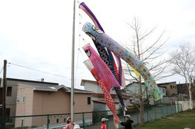 2025.4.24こいのぼり3.JPG
