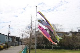2025.4.24こいのぼり4.JPG