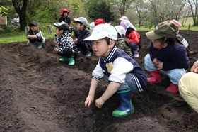 2025.5.14枝豆、いも11.JPG