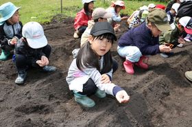 2025.5.14枝豆、いも3.JPG
