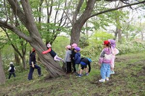 2025.5.15室蘭中島幼稚園と5.JPG