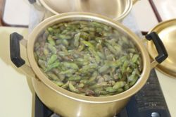 2025.8.27枝豆収穫21.JPG