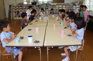 2025.8.27枝豆収穫23.JPG