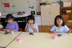 2025.8.27枝豆収穫24.JPG