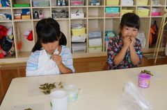 2025.8.27枝豆収穫26.JPG