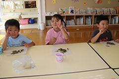2025.8.27枝豆収穫28.JPG
