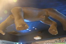 2025.10.2バス遠足21.JPG