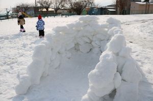 2026.2.16園庭で雪あそび4.JPG